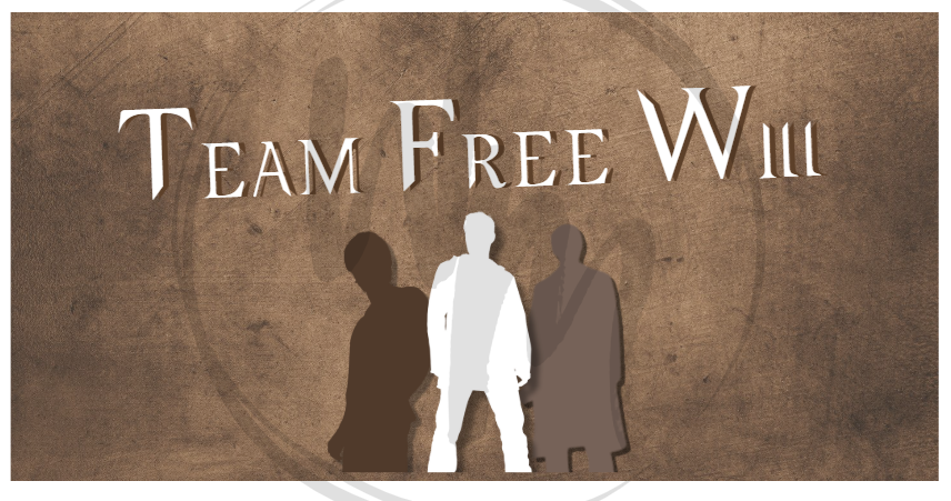 Team Free Will Vanity Plate