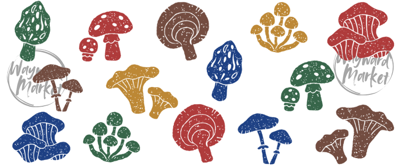 Colorful Mushrooms Zipper Bag